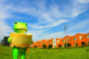 ���Ȕj�Y�̏ꍇ�̍������Ƃ́H